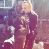 Qualified and Graduate of Veterinary Medicine - Available Immediately