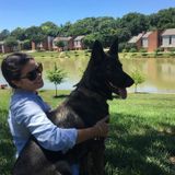 Pet Sitting Professional Available Immediately