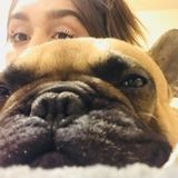 Available: Well Trained Dog Sitter in Cathedral City