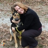 Loving, Caring Blythewood Pet Sitter..and Columbia, too!