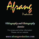 Professional videographer and editor
