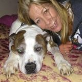 Wee rounded experienced animal lover