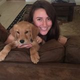 Interested In a Dog Walker Job in Edinburg
