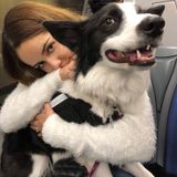 Pet Sitting Offered in Vancouver