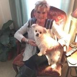 I am a happy, energetic, active woman who just happens to be Tired of being Retired!