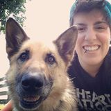 Professional pet care and walking in Winnipeg west end
