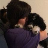 Available: Amazing pet sitter who absolutely gets along with any animal!