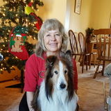 I do housesitting & pet sitting (in your home pet sitting); have good references, reasonable rates