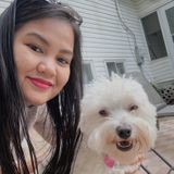 Good Pet Groomer Available Immediately