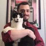 Dog Walking and Petcare from animal enthusiast