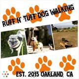 Professional Dog Walker available !