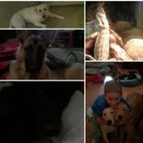 Caregiver for hire