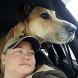 Service human for your pet in Alvarado, Texas