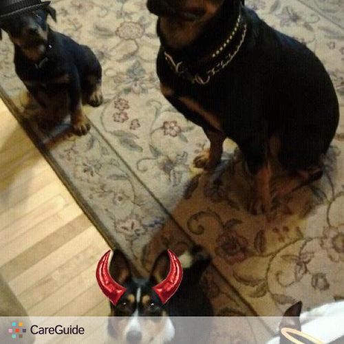 Pet Care Provider Laura R's Profile Picture