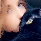 I am looking to start a career working with animals!