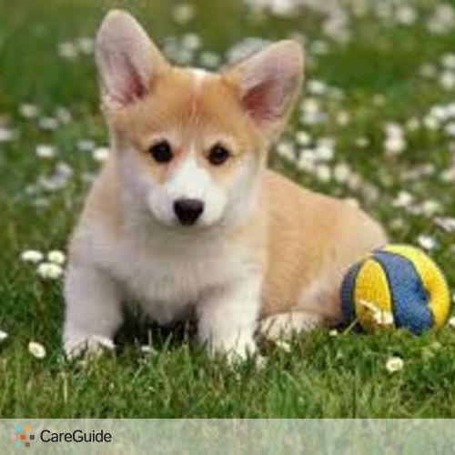 Pet Care Provider Michael T's Profile Picture