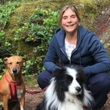 Two Pooches Looking For A Festive Holiday!