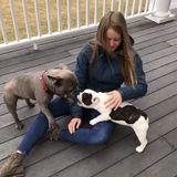 Available: Professional Pet Lover At Your Service