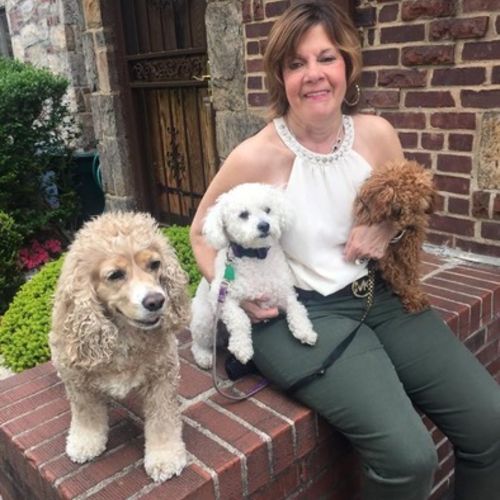 Pet Care Provider Karen S's Profile Picture