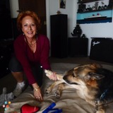 Pet Care Extraordinare, Pet Sitting, Dog Walking, Daily Visits, Overnight Stays, Pet Boarding, Dog Training!