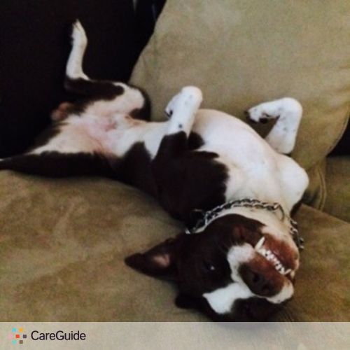 Pet Care Provider Jessica C's Profile Picture