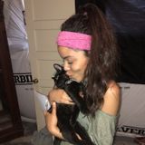 Most Polite House and Plant Sitter in Springville