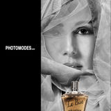 Professional Photographer & Photo Shop Expert