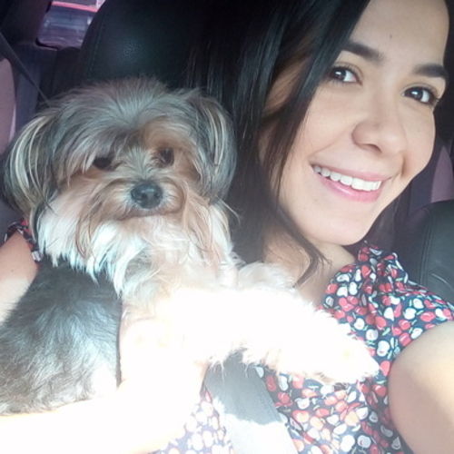 Pet Care Provider Arianna M's Profile Picture