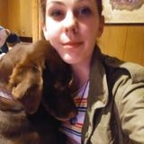 Well Trained Pet Sitting Available Now!
