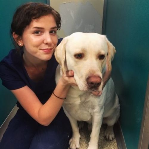 Pet Care Provider Emily G's Profile Picture