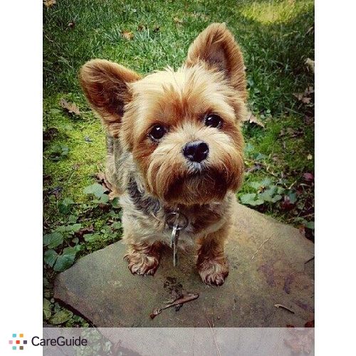 Pet Care Provider Haley E's Profile Picture