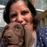 Dog and cat lover looking for pet sitting jobs and dog walking!