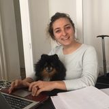 Trustworthy Pet Feeding and house sitting