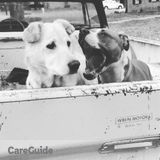 Hello my name is Blaire and I love animals they are my passion, I have 2 dogs of my own a pitbull and a German Shepard.