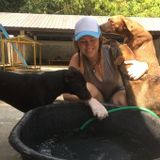 Mature, responsible, animal lover looking to take exceptional care of your animal(s),