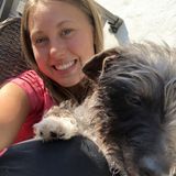 WIGGLY TAIL WALKS: dog walks/in-home play time, vacation boarding in your home, travel companion for your pet available