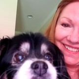 Searching for Plano Animal Lover Opportunity. Walking and pet sitting.