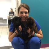 Affordable Veterinary Nurse Available for All Pet Sitting Needs