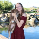 Pet Sitter