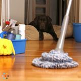 We offer a professional cleaning service
