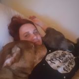 Most Hard Working Pet Sitter in Winter Haven