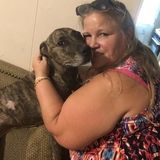 Available: Skilled Caretaker in Englewood, Florida worked with a rescue when I lived in Illinois have a love for all animals