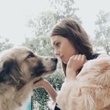 Available For a Petsitter Job in Victoria, Texas