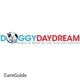 24 Hour Cage Free Doggy Day Care & Dog Boarding at Doggy Daydream