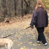Seeking NYC Pet Sitting Jobs!