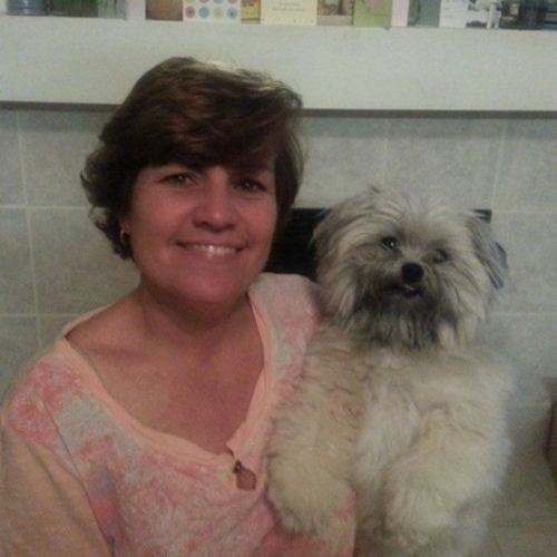 Pet Care Provider Brenda D's Profile Picture