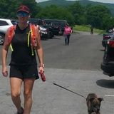 Looking For a Pet Sitting Professional Job in Jersey City