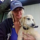 Interested In a Pet Supervisor Opportunity in Alvarado