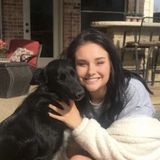 For Hire: Consistent Pet Sitter in Mckinney