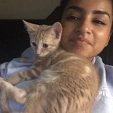 Qualified Pet Sitter- Available Immediately